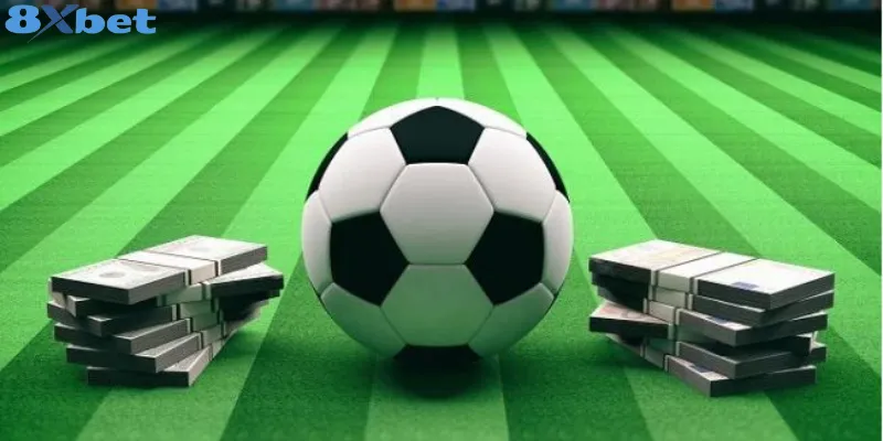 Lý do nên chọn nhà cái 8xbet chơi cá cược bóng đá Tại sao nên chọn 8xbet cá cược bóng đá
