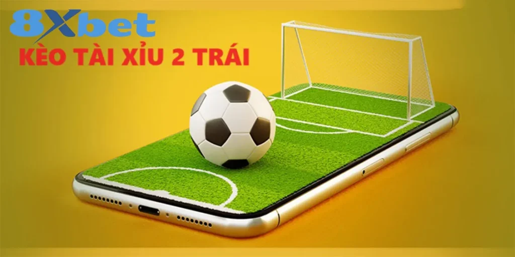 Tài xỉu 2 trái: Cách thức hoạt động trận đấu thực tế Tùy chọn cược tài xỉu 2 trái
