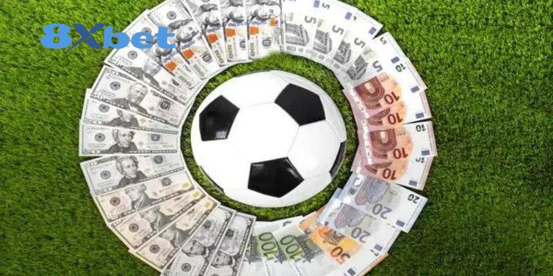 Khám phá nhiều chuyên mục trước khi lựa chọn phù hợp