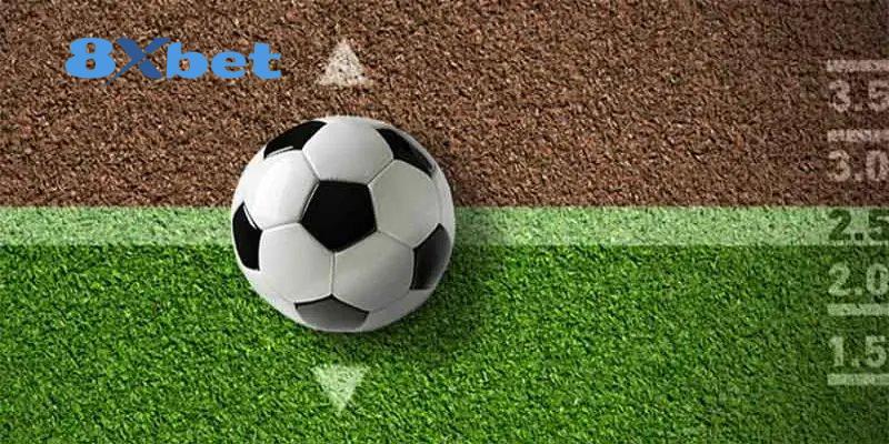 Trận đấu World Cup diễn ra dưới thời tiết nắng nóng